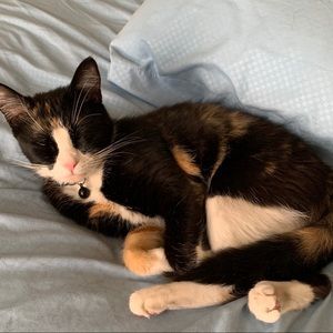 Meet your Posher, Heather